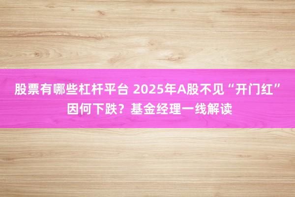 股票有哪些杠杆平台 2025年A股不见“开门红” 因何下跌？基金经理一线解读