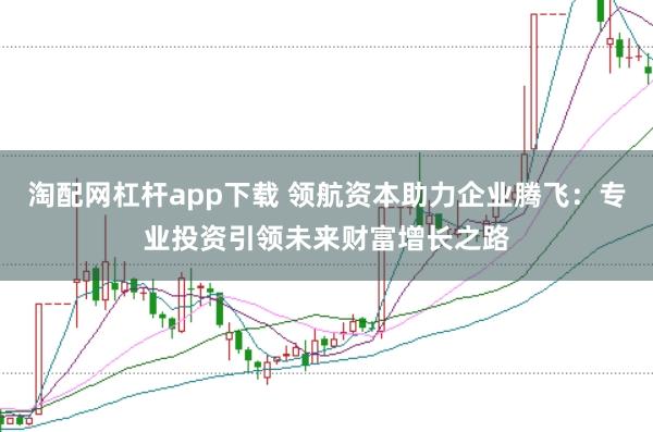 淘配网杠杆app下载 领航资本助力企业腾飞：专业投资引领未来财富增长之路