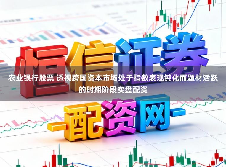 农业银行股票 透视跨国资本市场处于指数表现钝化而题材活跃的时期阶段实盘配资