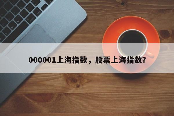 000001上海指数，股票上海指数？