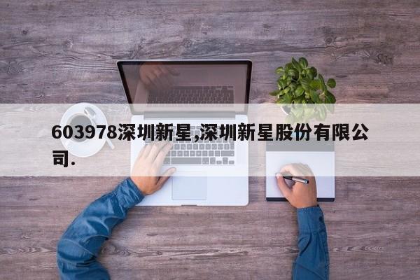603978深圳新星,深圳新星股份有限公司.