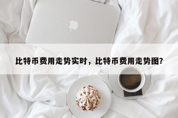 比特币费用走势实时，比特币费用走势图？