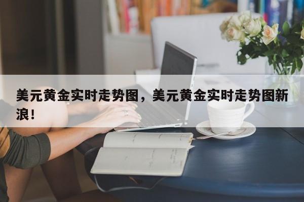 美元黄金实时走势图，美元黄金实时走势图新浪！