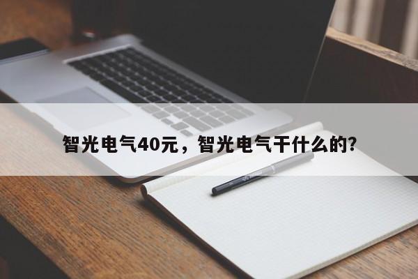 智光电气40元，智光电气干什么的？