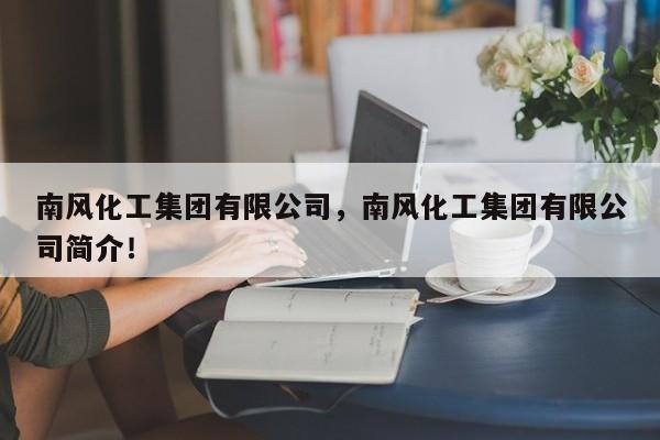 南风化工集团有限公司，南风化工集团有限公司简介！