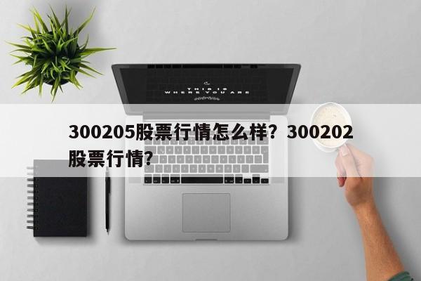 300205股票行情怎么样？300202股票行情？