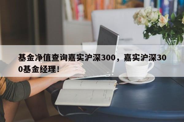 基金净值查询嘉实沪深300，嘉实沪深300基金经理！