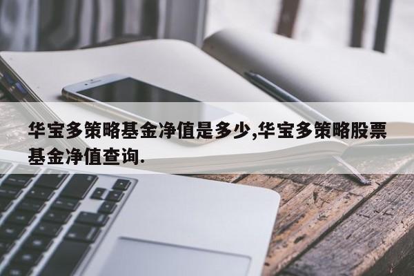 华宝多策略基金净值是多少,华宝多策略股票基金净值查询.