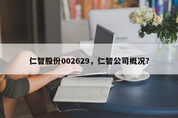 仁智股份002629，仁智公司概况？