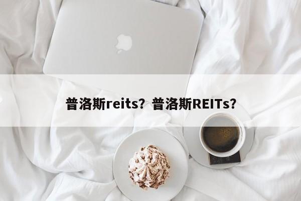 普洛斯reits？普洛斯REITs？