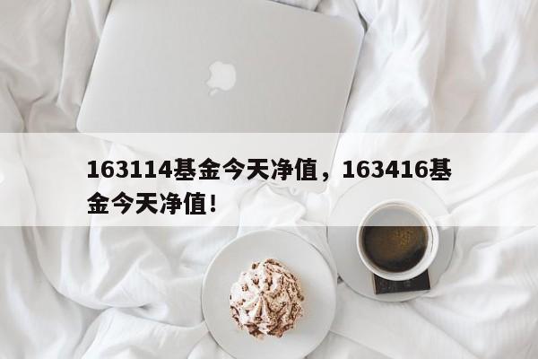 163114基金今天净值，163416基金今天净值！