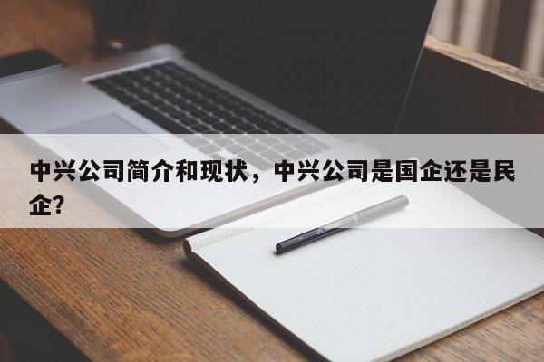 中兴公司简介和现状，中兴公司是国企还是民企？